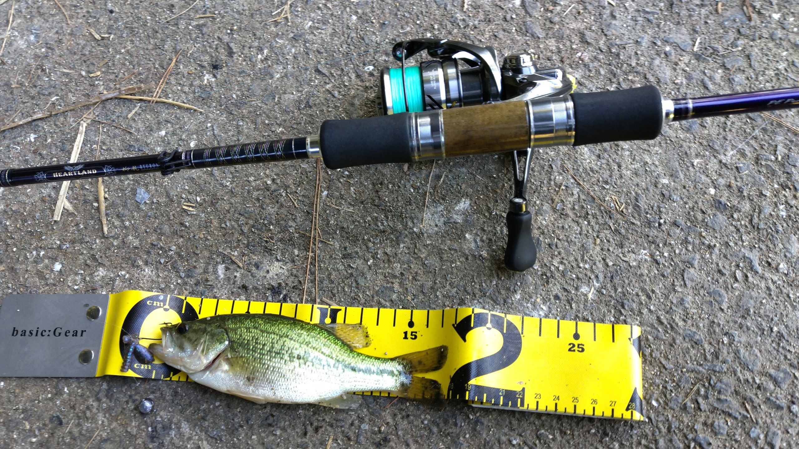 おかっぱりバス釣りで釣れたブラックバスとタックル