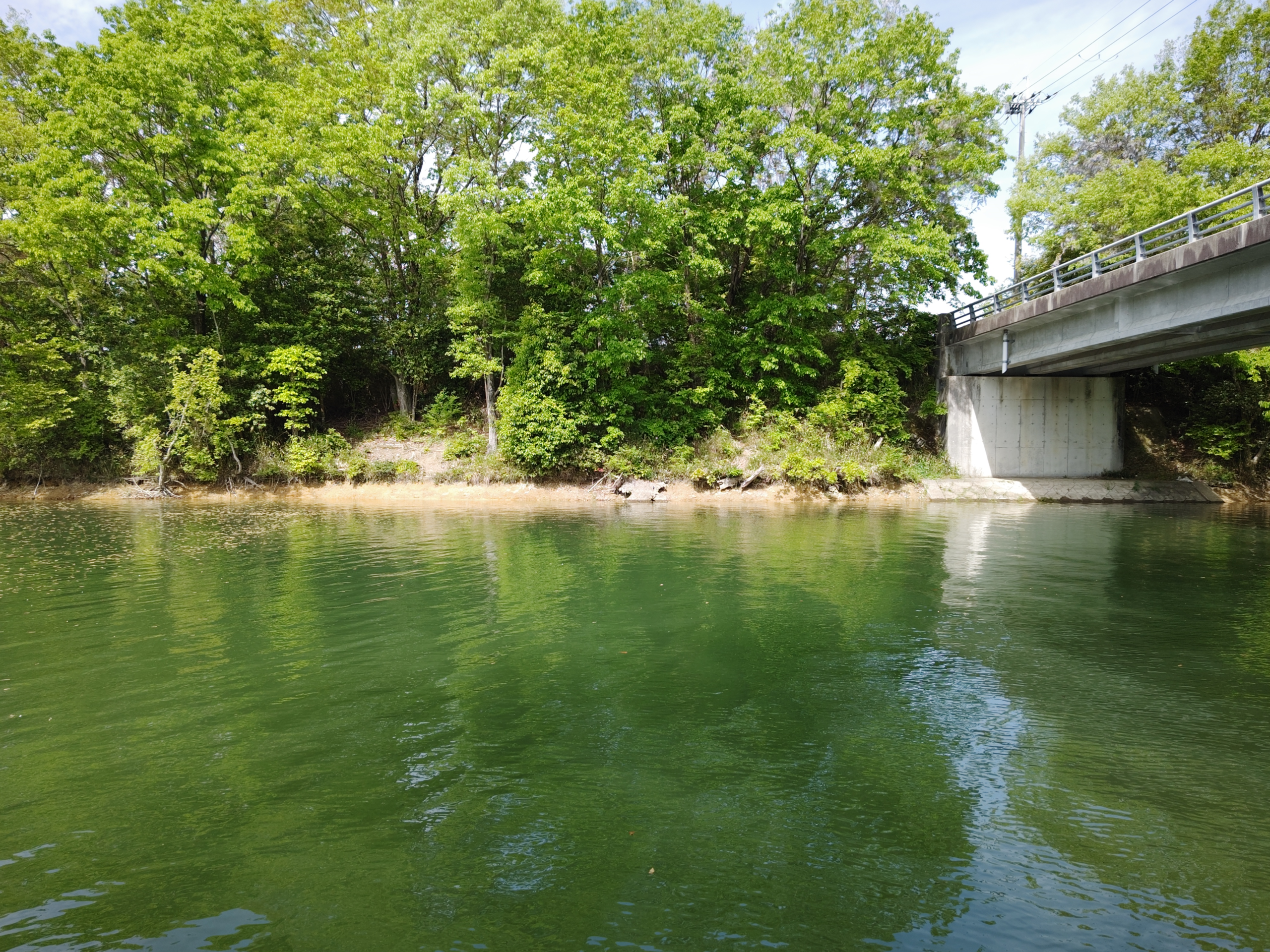 青野ダムのおかっぱりバス釣りポイントと橋周りの風景