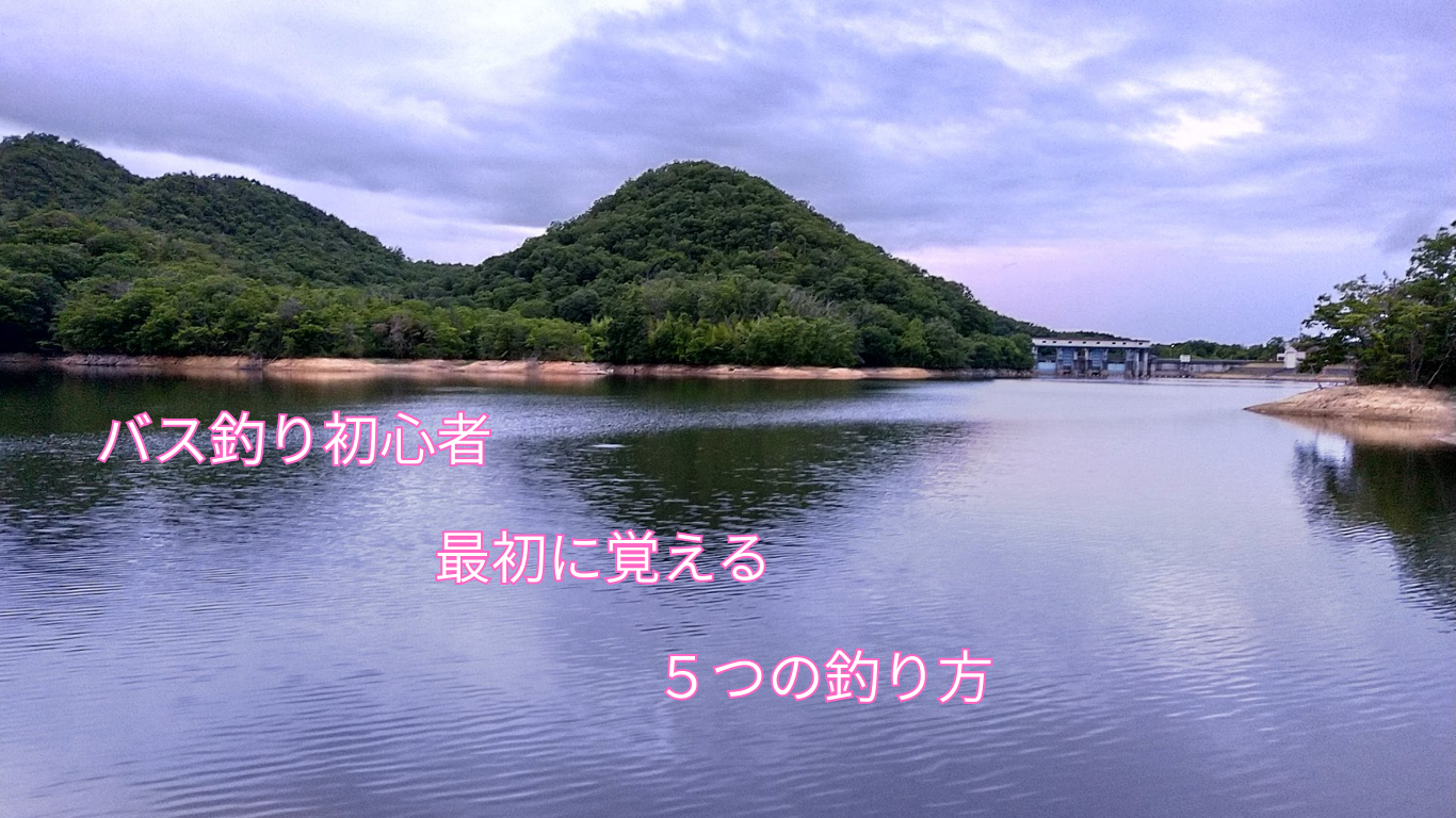 青野ダム本湖のおかっぱりバス釣りポイントの風景