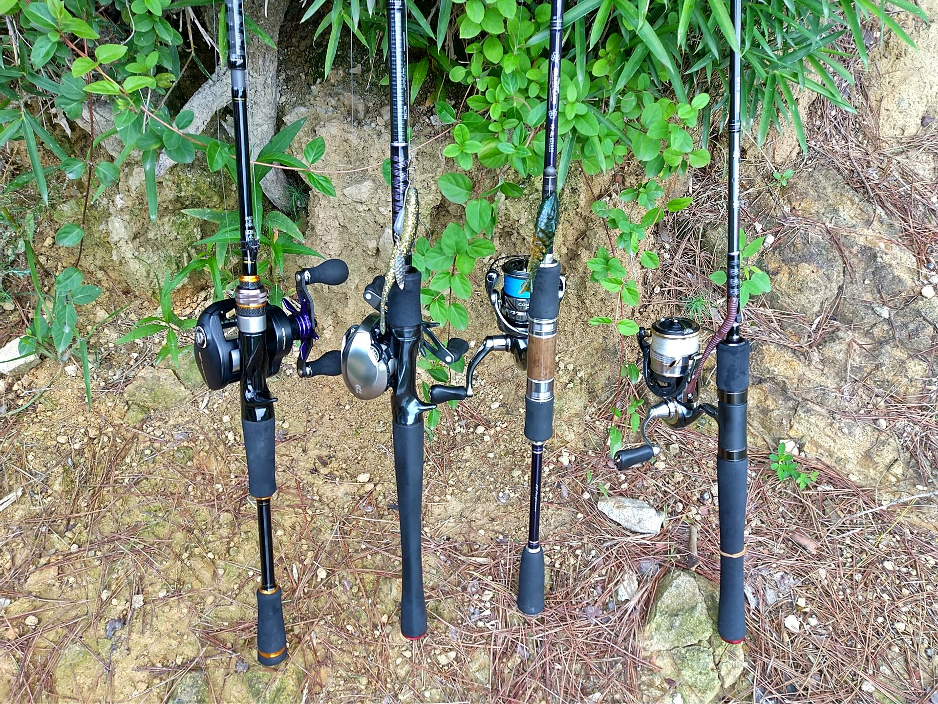 複数のロッドとリール