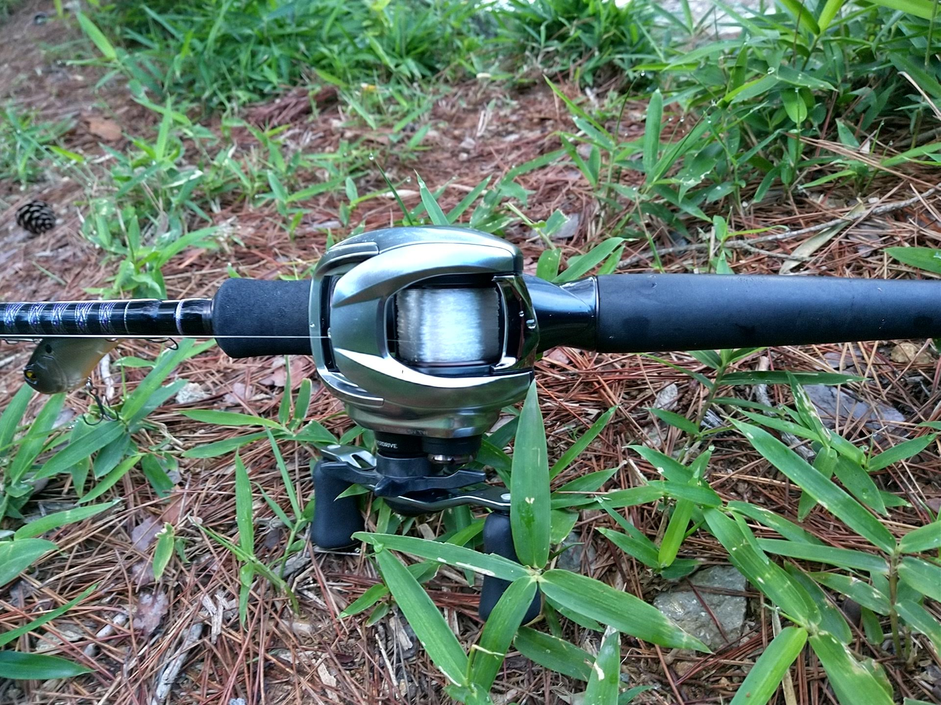 ロッドとリール